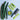 Jade Cucumbers - Abundant LIfe Organic