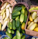 Mixed Variety Cucumbers (Lemon and Slicers)