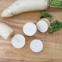 Daikon Radish