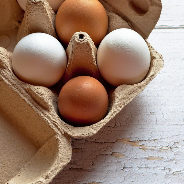Mountain Bird - Organic Feed Eggs