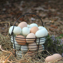 The Living Farm - Organic Feed Eggs