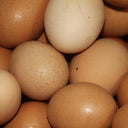 Root Rock Farm - Organic Feed Eggs