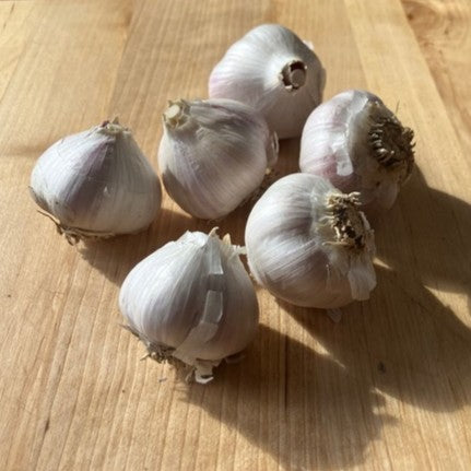 Music Garlic – Peter McCarville Homestead