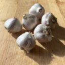 Music Garlic – Peter McCarville Homestead
