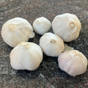German Red Garlic – Peter McCarville Homestead
