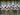 Green Garlic - Abundant Life Organic