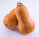 Honeynut Squash - Pantoja's Farm
