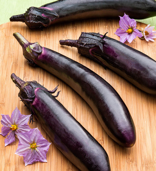 Japanese Eggplant - Pantoja's Farm