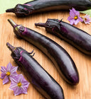 Japanese Eggplant - Pantoja's Farm