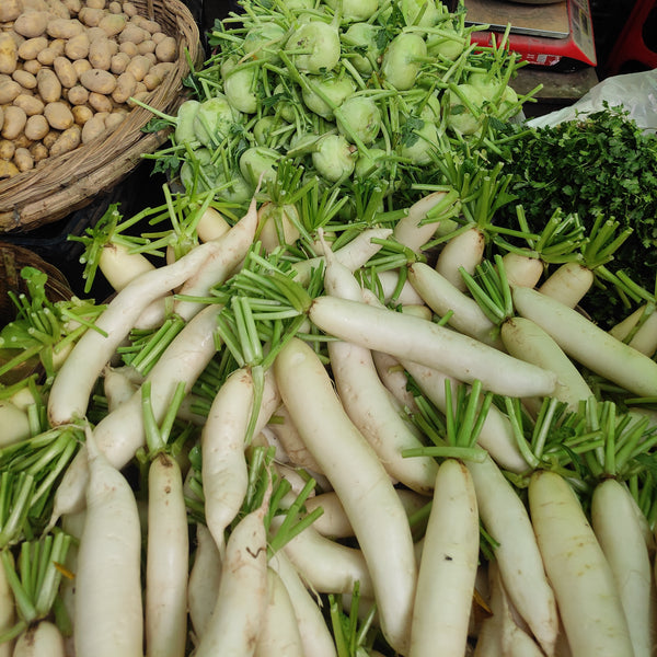 Icicle Salad Turnips - Groundwork