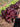Red Butterhead Lettuce