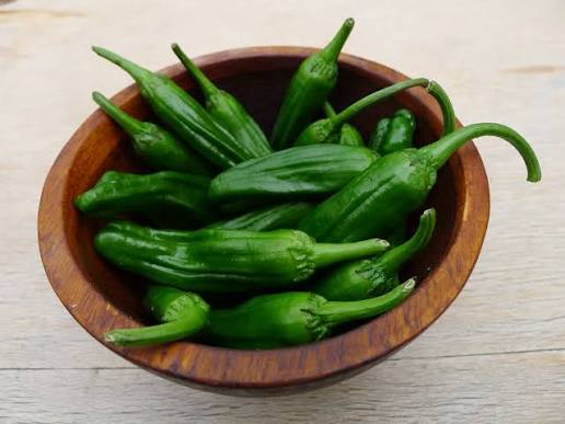 Shishito Peppers ( 8 oz) - Figure 8 Farming