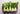 Baby Bo Bok Choy  – Jyoti's Seeds for Change Farm