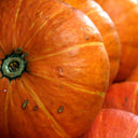 Sunshine Winter Squash