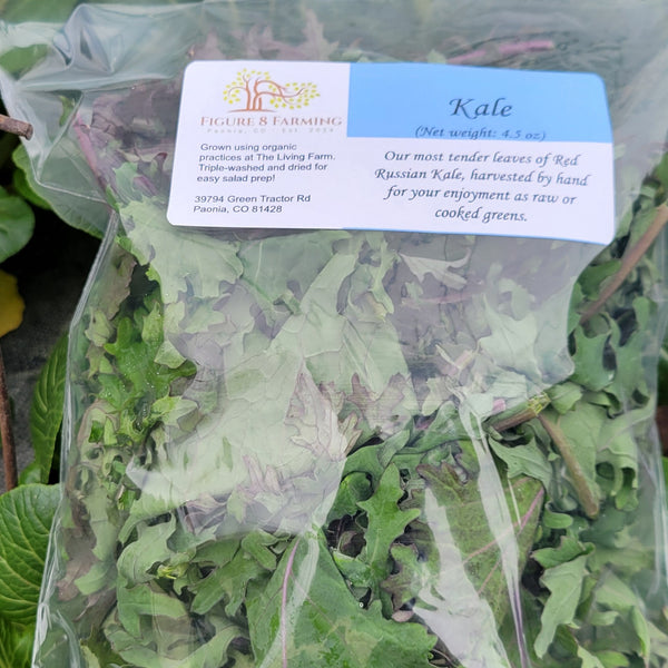 Kale - 4.5 oz - Figure 8 Farming