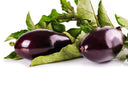 Eggplant - Stuart Kramer