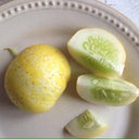 Lemon Cucumbers - Thistle Whistle