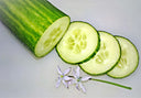 Slicing Cucumbers - Pantoja's Farm
