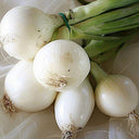 Crystal White Pearl Onions - Thistle Whistle
