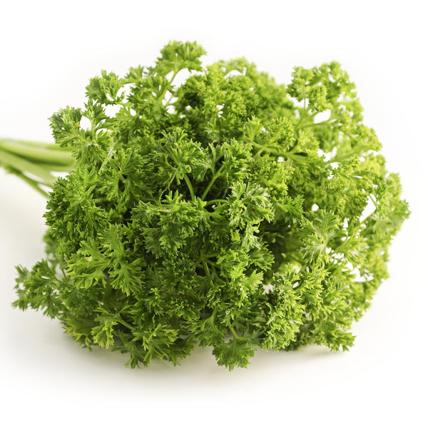 Parsley Bunches - Groundwork