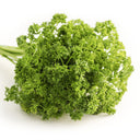 Parsley Bunches - Groundwork