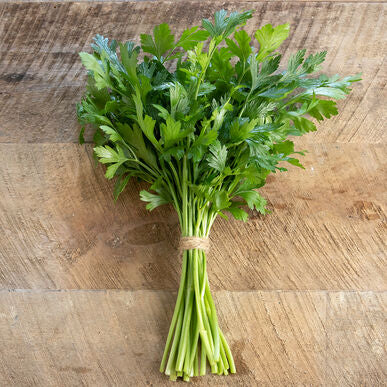 Parsley - Sunny Day's Farm