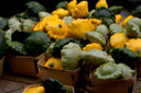 Patty Pan Squash - Pantoja's Farm