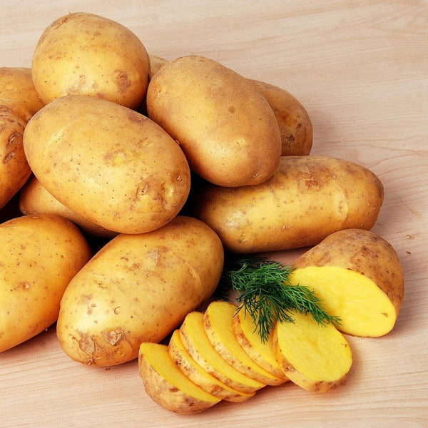 Potatoes - Abundant LIfe Organic