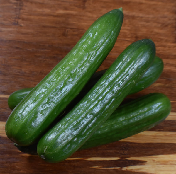 Cucumbers - Figure 8 Farming