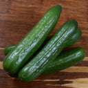 Cucumbers - Figure 8 Farming