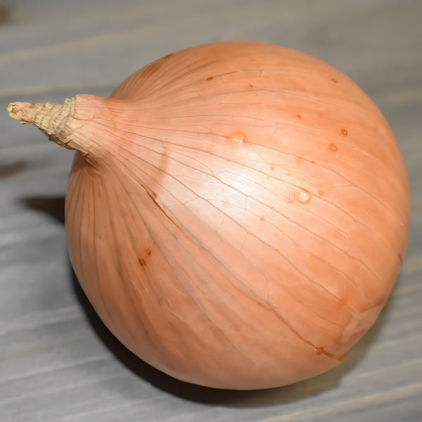Yellow Onions - Pantoja's Farm