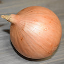 Yellow Onions - Pantoja's Farm