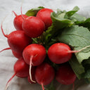 Red Radish