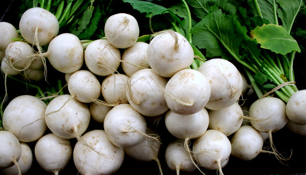 Salad Turnips