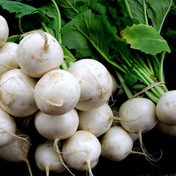 Hakurei Turnips