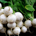 Hakurei Turnips