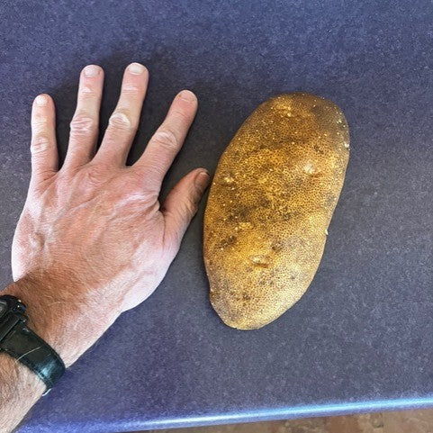Large Rocky Mountain Russet Potatoes