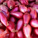 Rosa Lunga di Tropea Onions - Thistle Whistle