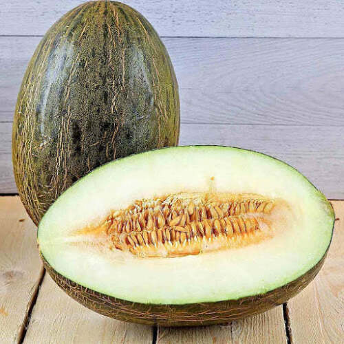 Spanish Melons - Pantoja's Farm