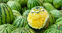 Yellow Flesh Watermelon - Pantoja's Farm