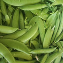 Sugar Snap Peas - The Living Farm