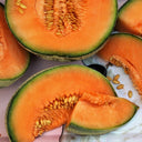 Cantaloupe - Pantoja's Farm