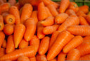 Carrots- Lance Swaggert
