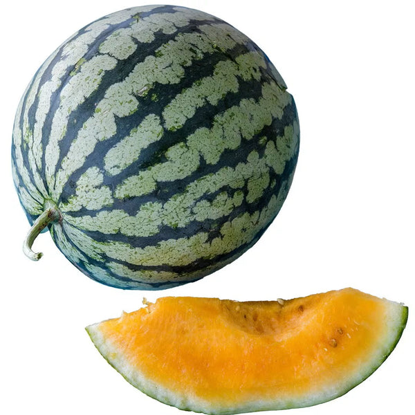 Leelanau Sweetglo Watermelon — from Farm on Maple Drive