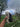 Wool Yarn - Farmhand's Harvest