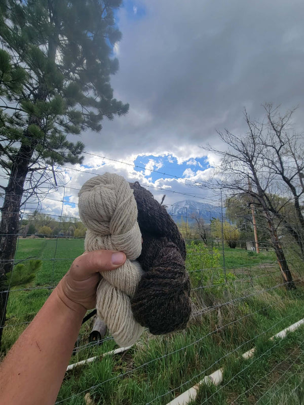 Wool Yarn - Farmhand's Harvest