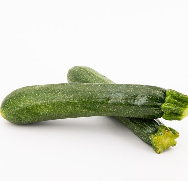 Green Zucchini Squash– The Living Farm