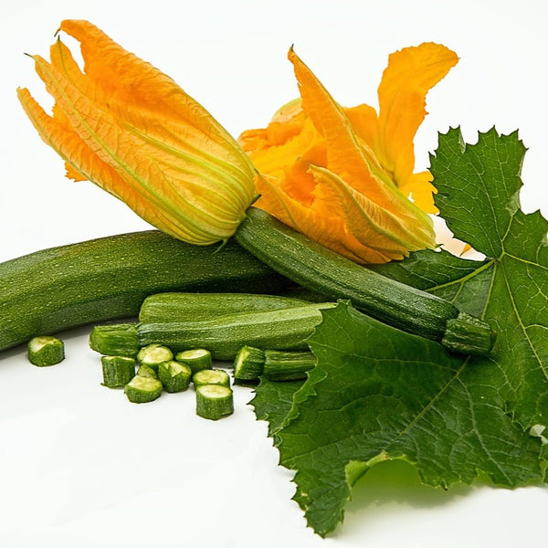 Squash Blossoms - Abundant LIfe Organic