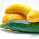Yellow Summer Squash – The Living Farm