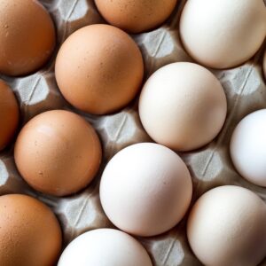 Pasture-Raised Eggs – Root Rock Farm